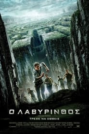 The Maze Runner (2014)